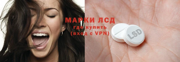 сатива Вязьма