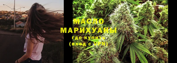 амф Вяземский