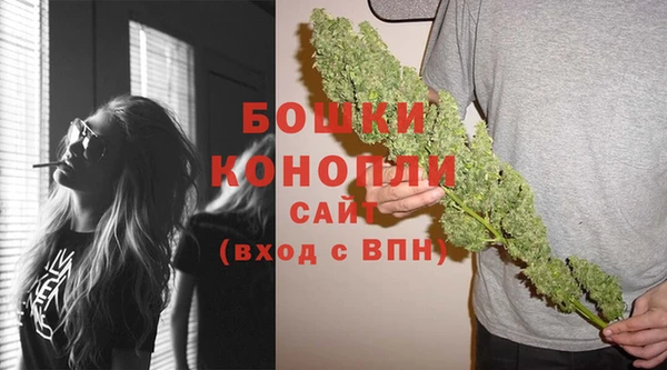 амф Вяземский