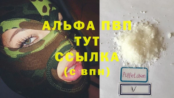 амф Вяземский