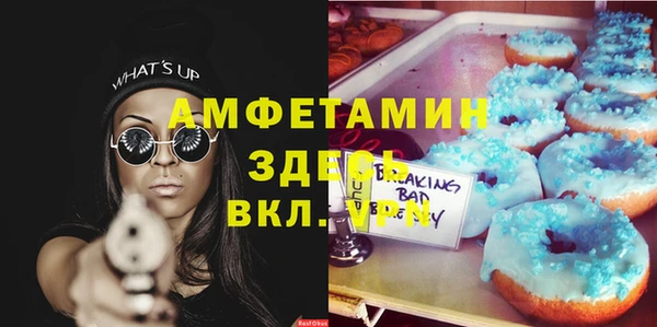 сатива Вязьма