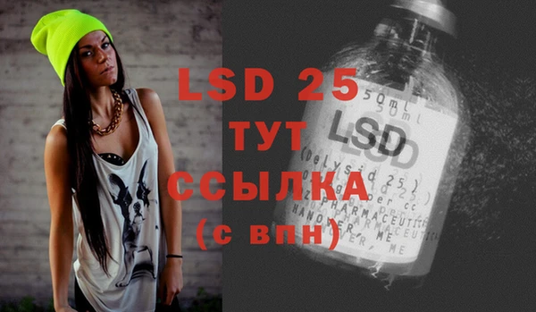 амф Вяземский